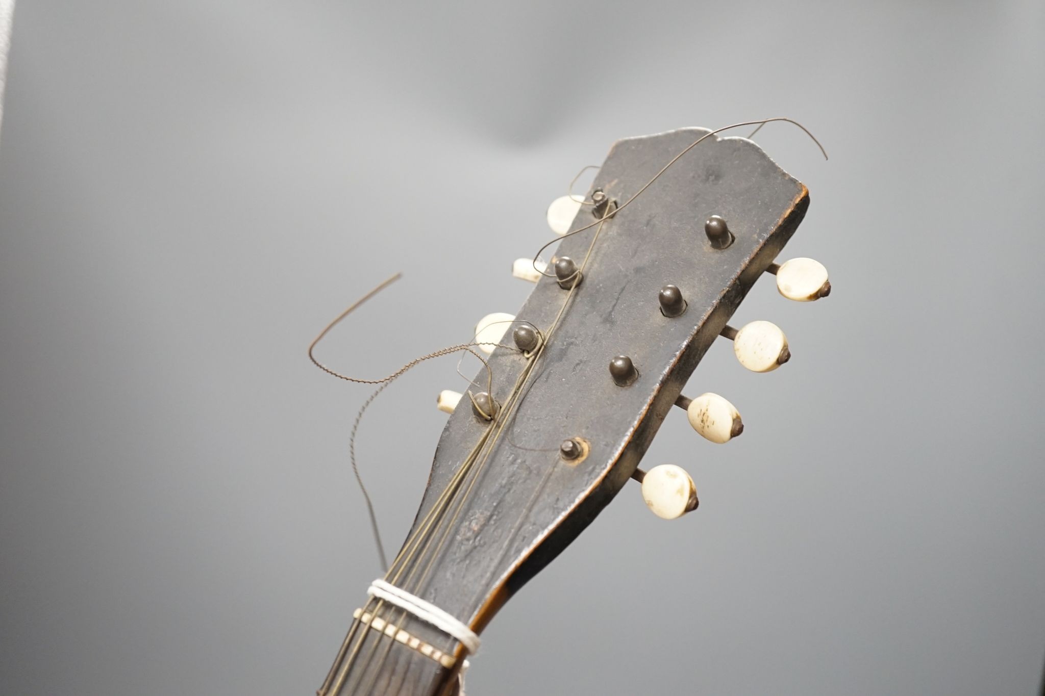 A rosewood and boxwood mandolin with bone pegs, circa 1900